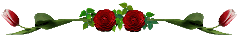 6bacc3839b81711764292c9a5e915f22.gif