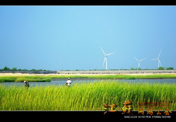 农村盛夏一景.jpg